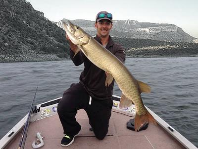 Muskiefirst Arizona Muskie Fishing Fishing Reports And - 