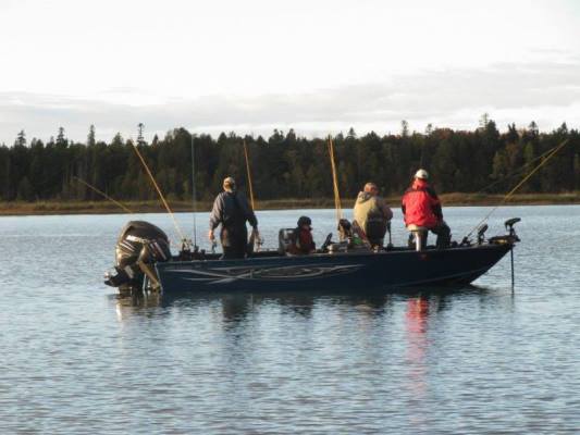 Click to expand / contract the width of this image