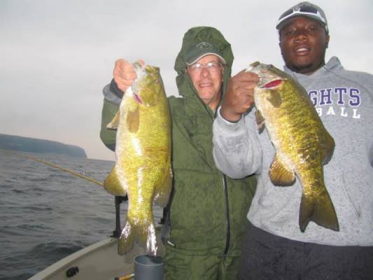 Click to expand / contract the width of this image