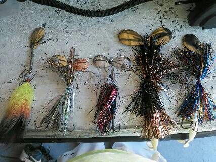 Click to expand / contract the width of this image