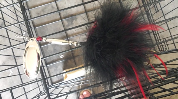 Click to expand / contract the width of this image