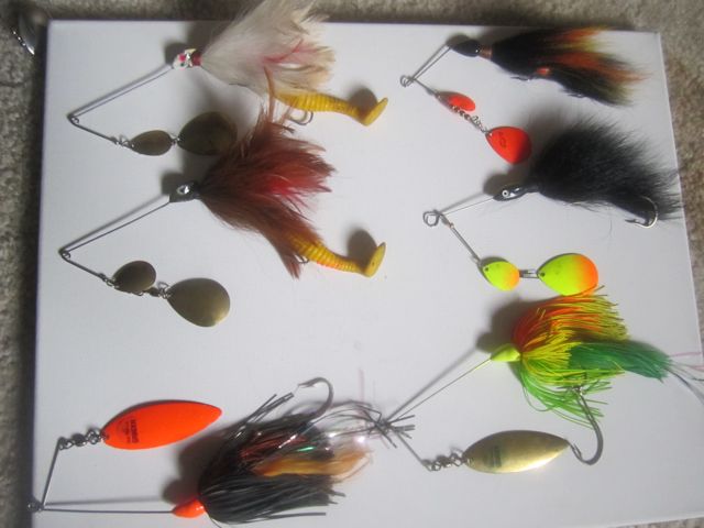 Click to expand / contract the width of this image