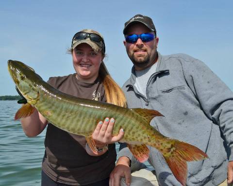 Click to expand / contract the width of this image