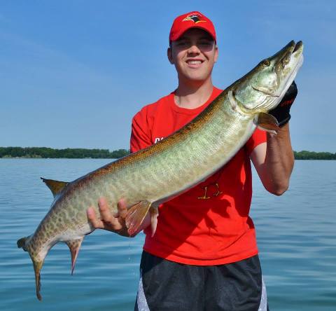 Click to expand / contract the width of this image