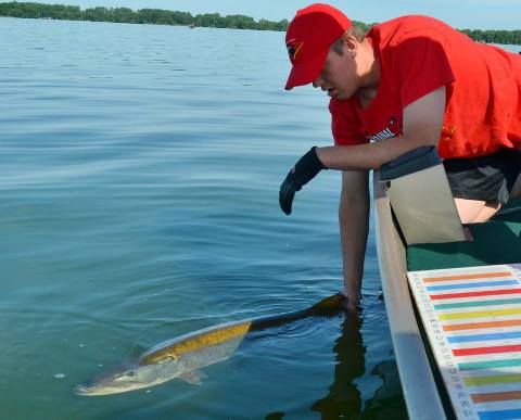 Click to expand / contract the width of this image