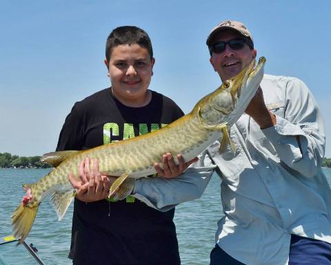 Click to expand / contract the width of this image