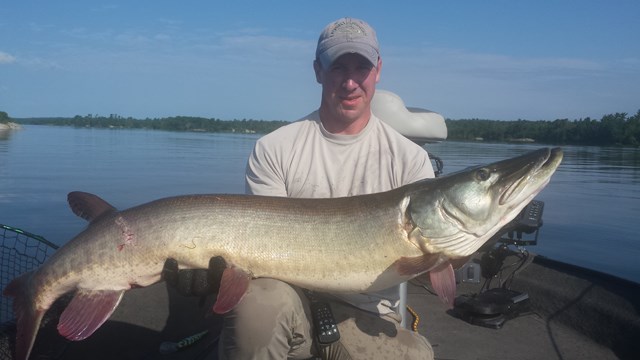 Click to expand / contract the width of this image