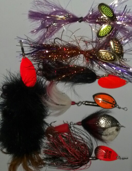 Click to expand / contract the width of this image