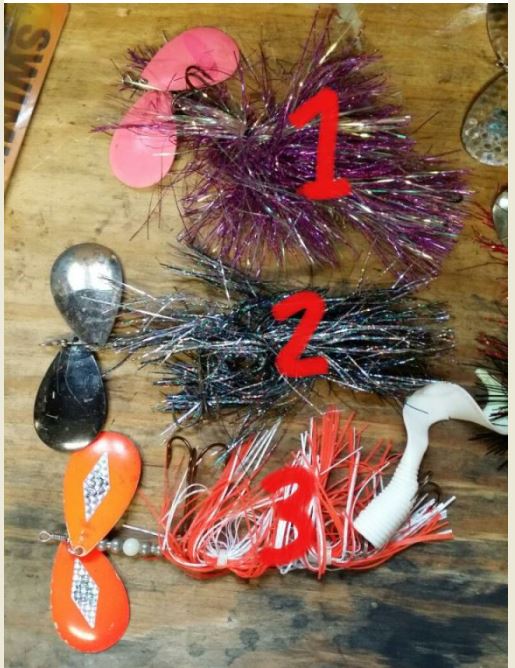 Click to expand / contract the width of this image