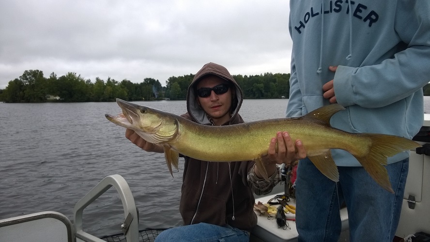 Click to expand / contract the width of this image