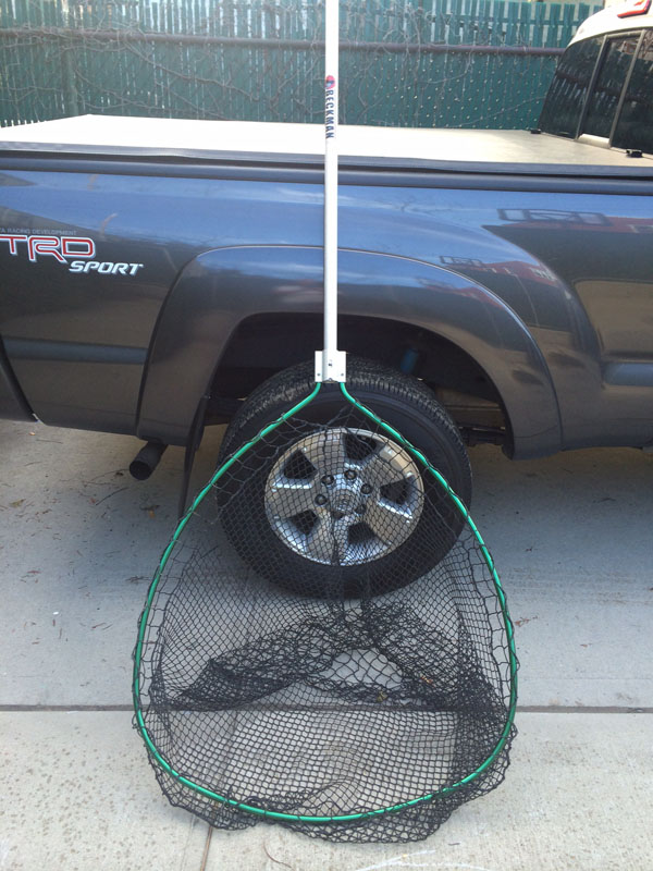 Click to expand / contract the width of this image