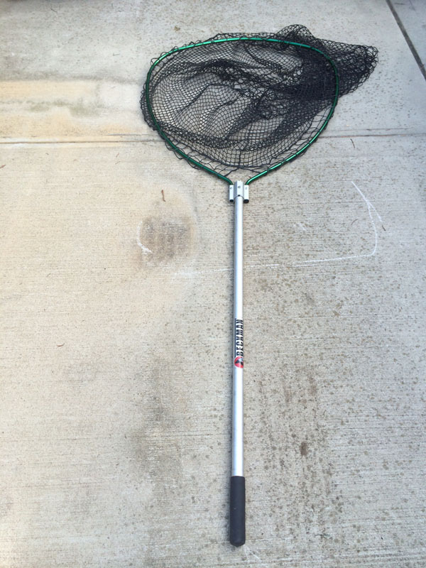 Click to expand / contract the width of this image