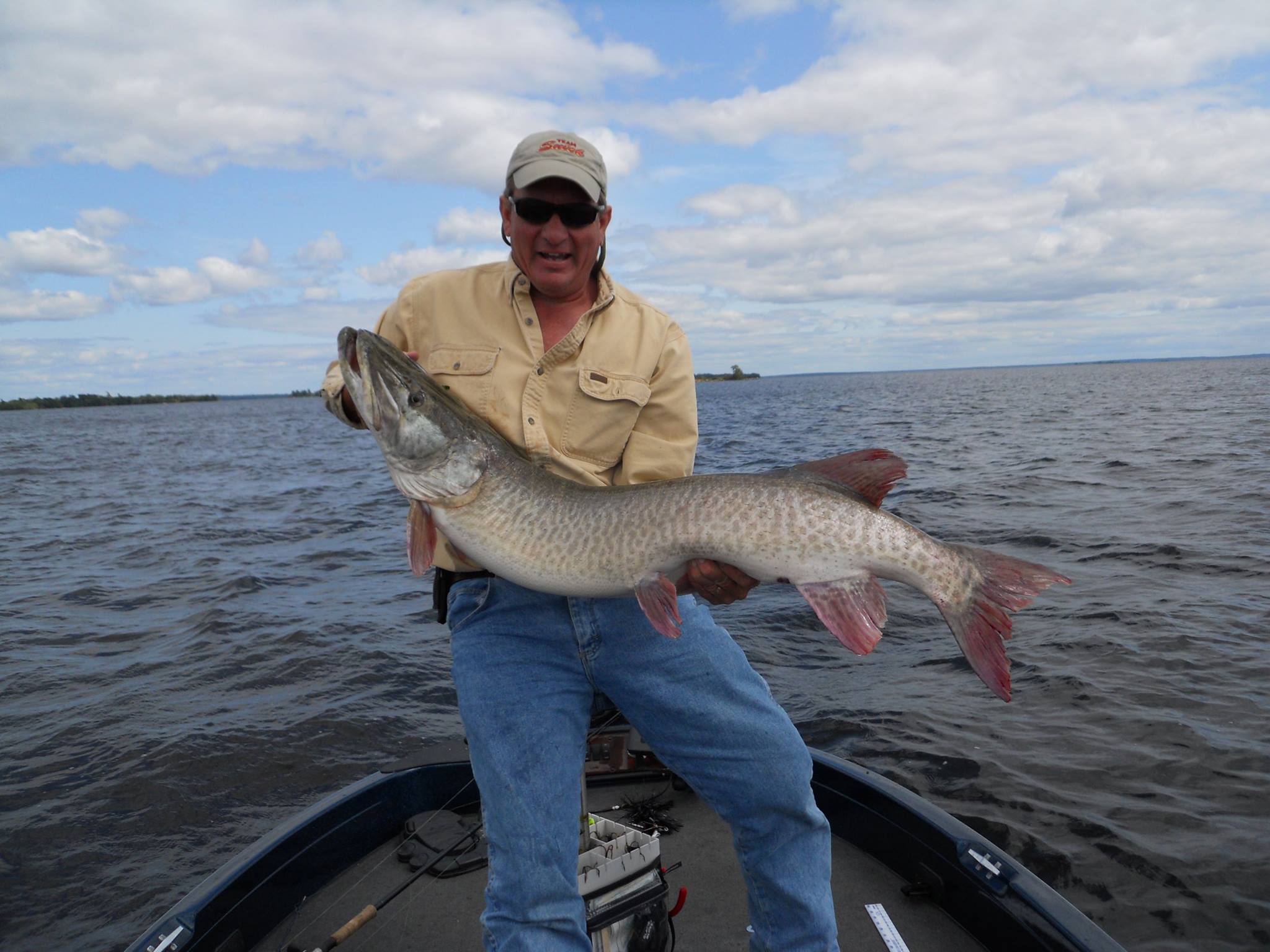 Click to expand / contract the width of this image