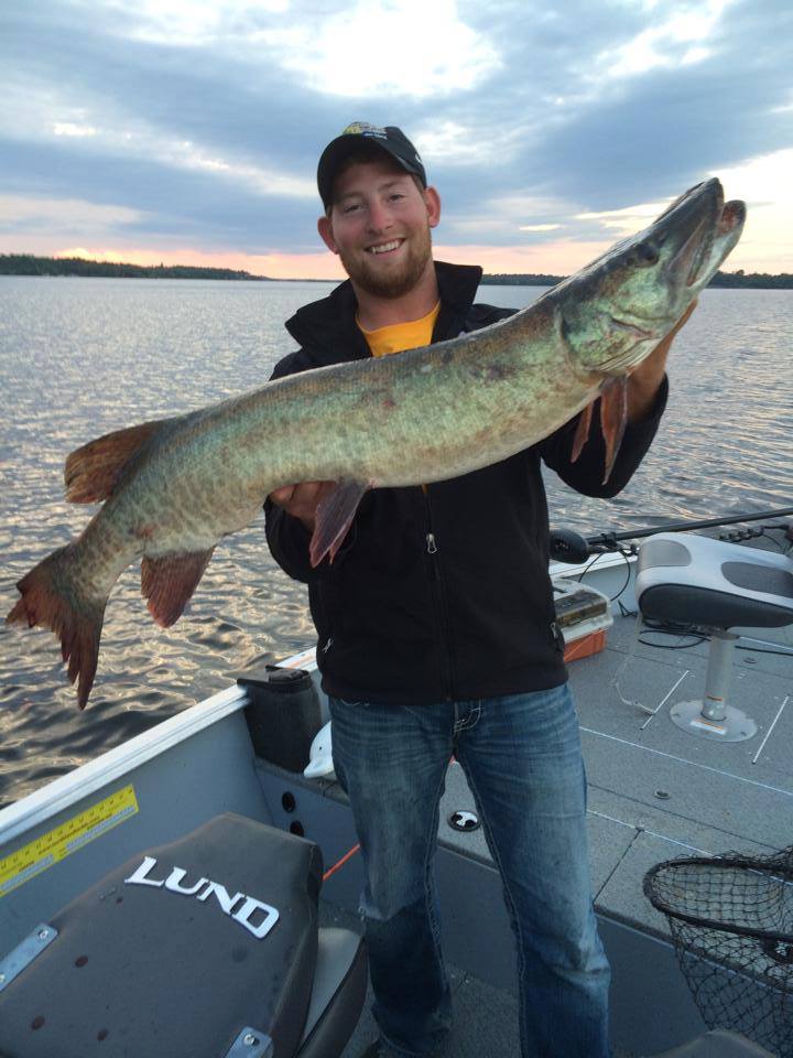 Click to expand / contract the width of this image