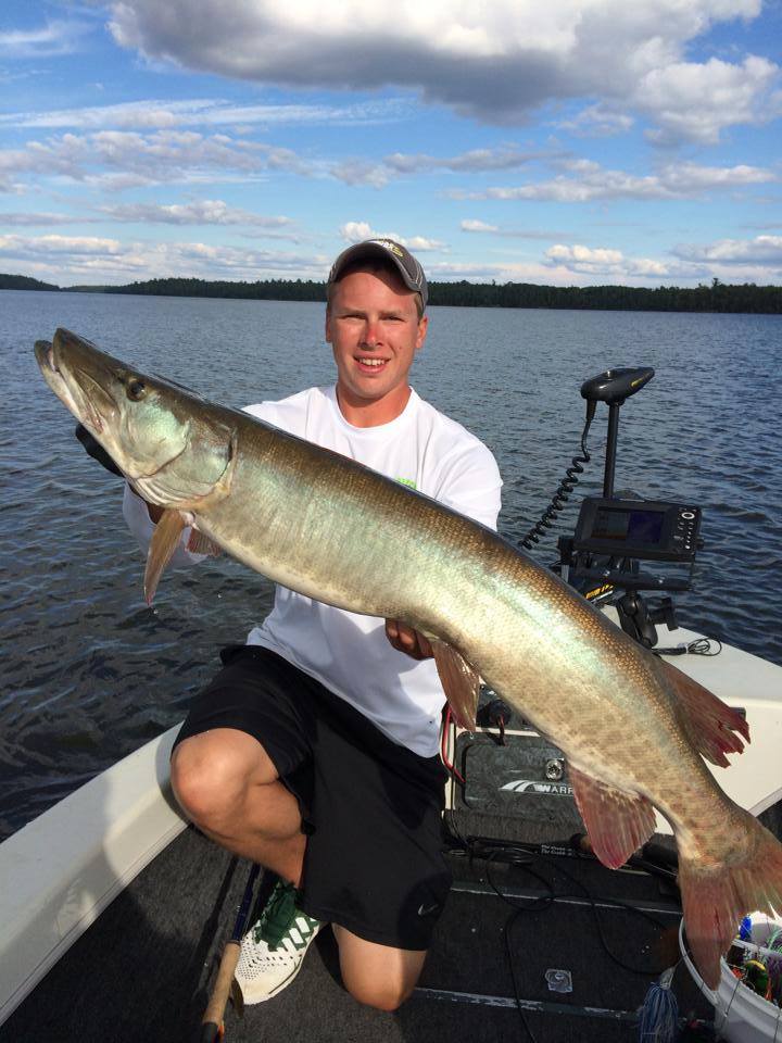 Click to expand / contract the width of this image