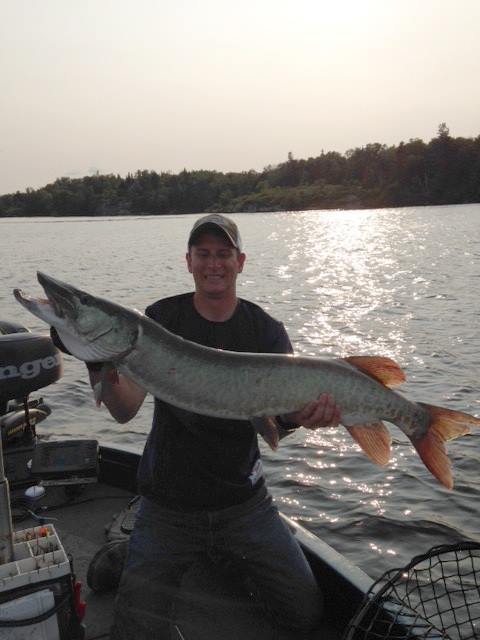 Click to expand / contract the width of this image