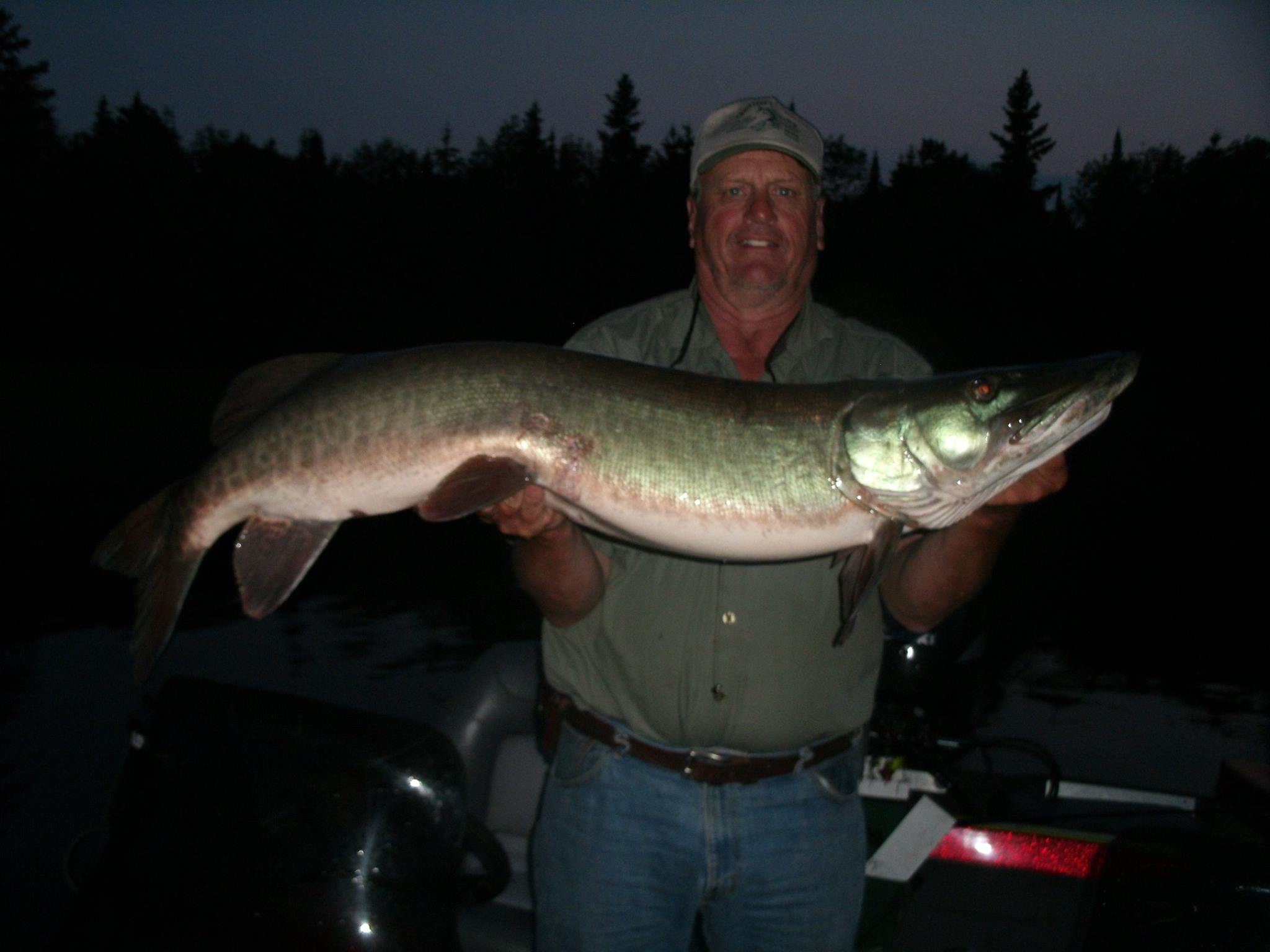 Click to expand / contract the width of this image