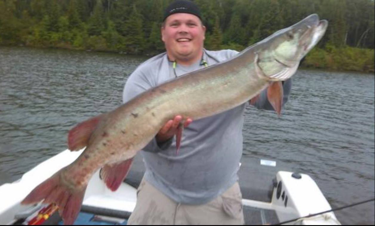 Click to expand / contract the width of this image