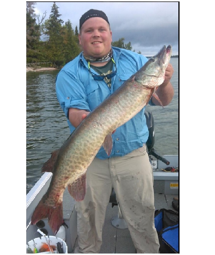 Click to expand / contract the width of this image