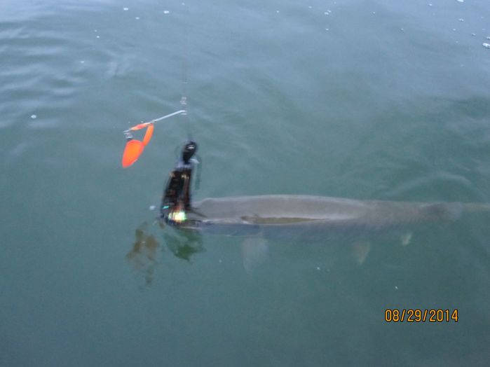 Click to expand / contract the width of this image