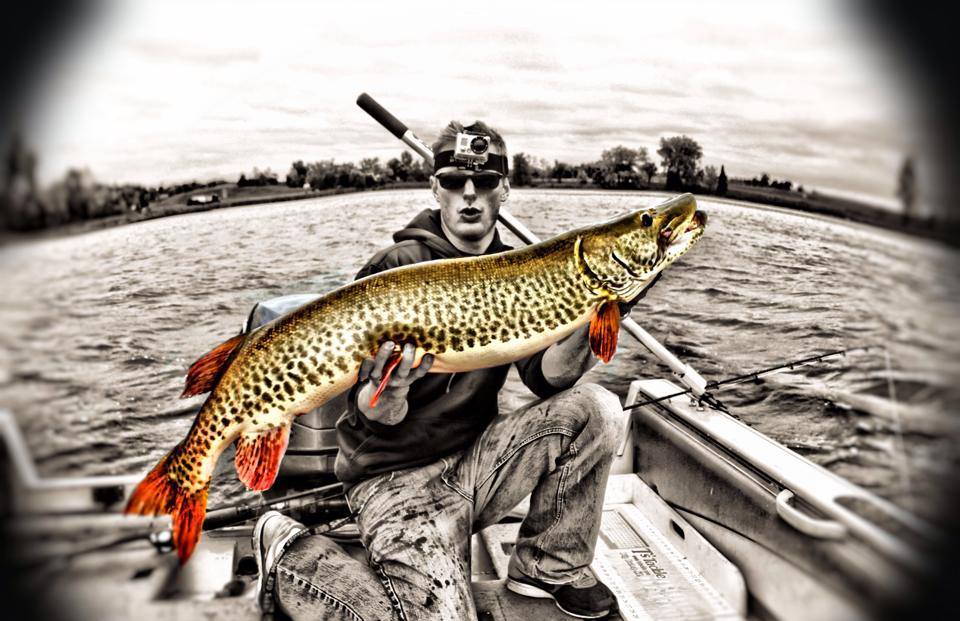 Click to expand / contract the width of this image