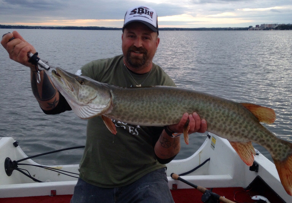 Click to expand / contract the width of this image