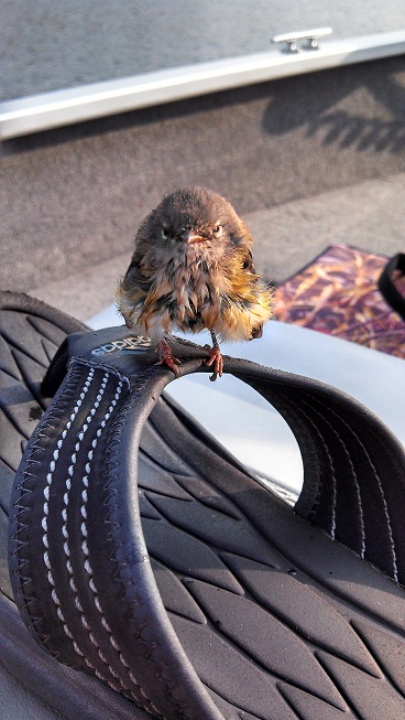 Click to expand / contract the width of this image