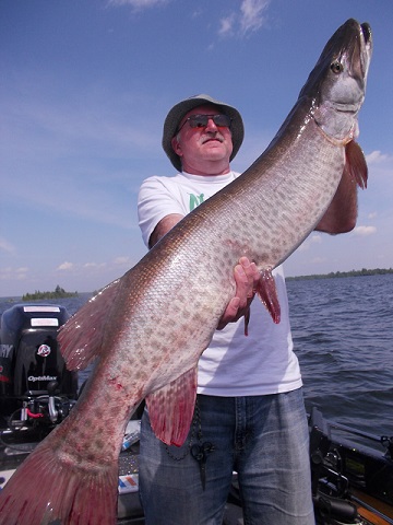 Eagle Lake Musky Opener Tips with Steve Herbeck – Musky Insider