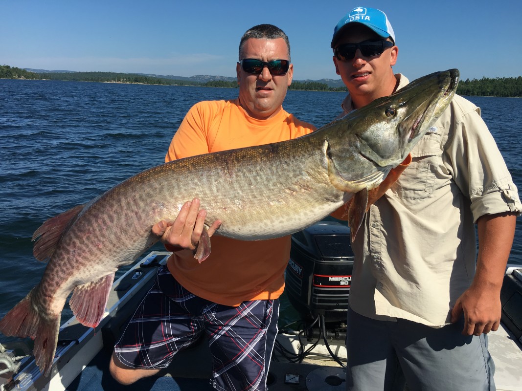 MuskieFIRST  60 72LB? » General Discussion » Muskie Fishing