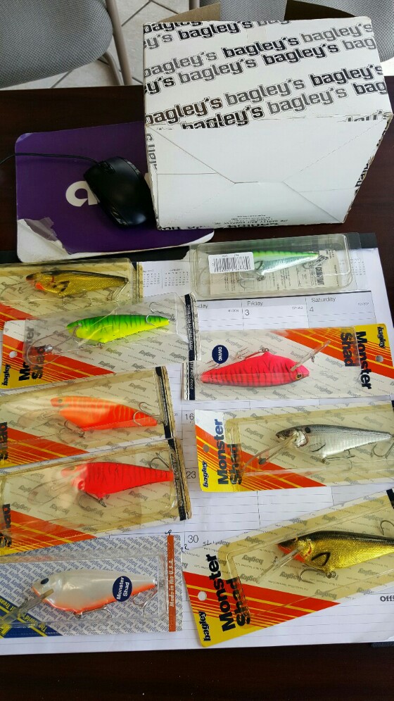 MuskieFIRST  Old Bagley help » Lures,Tackle, and Equipment » Muskie Fishing