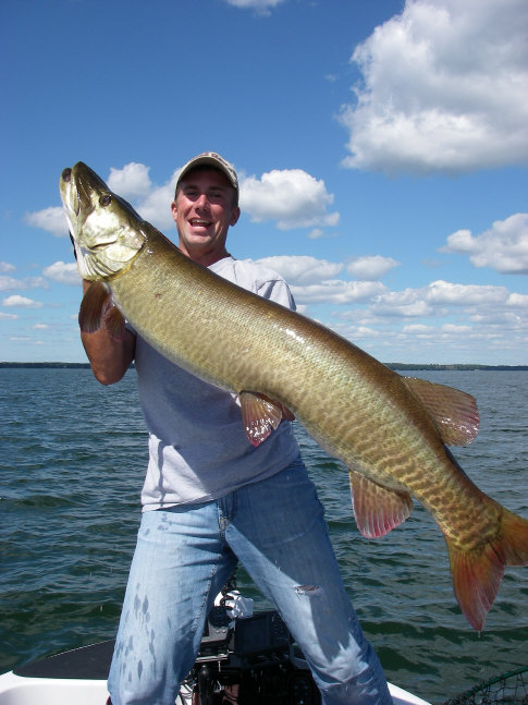 MuskieFIRST  50 WI Muskie in Mille Lacs Tour- Brood Stock? » Muskie  Biology » More Muskie Fishing