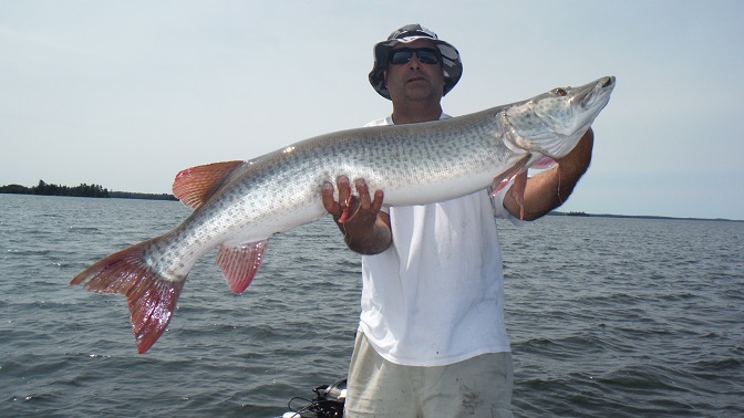 https://muskie.outdoorsfirst.com/board/forums/get-attachment.asp?attachmentid=126862