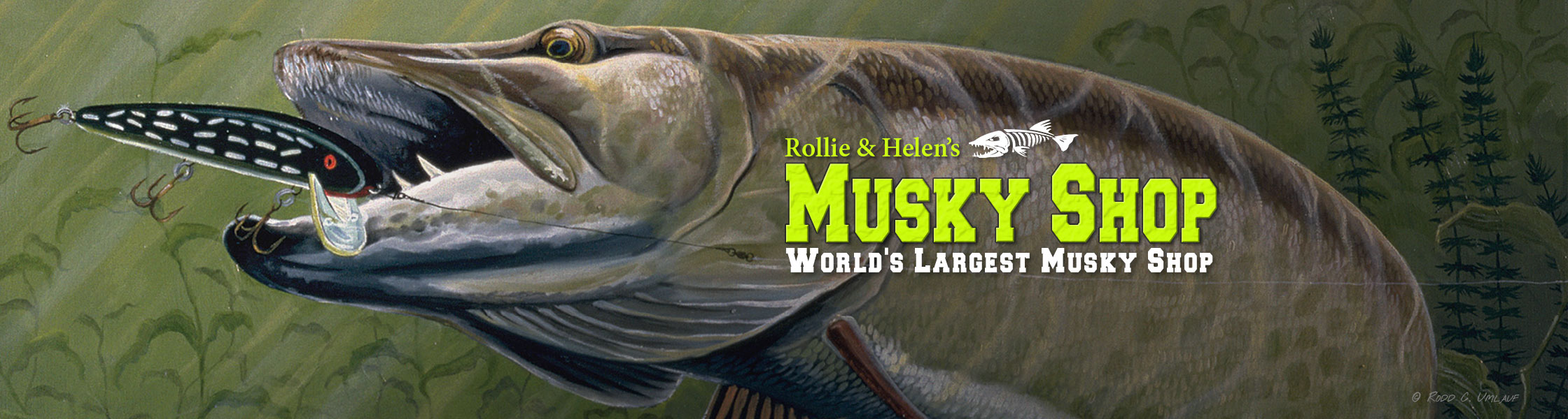 MuskieFIRST  CONTEST - Rollie and Helen's Black Friday Shopping Contest! »  General Discussion » Muskie Fishing