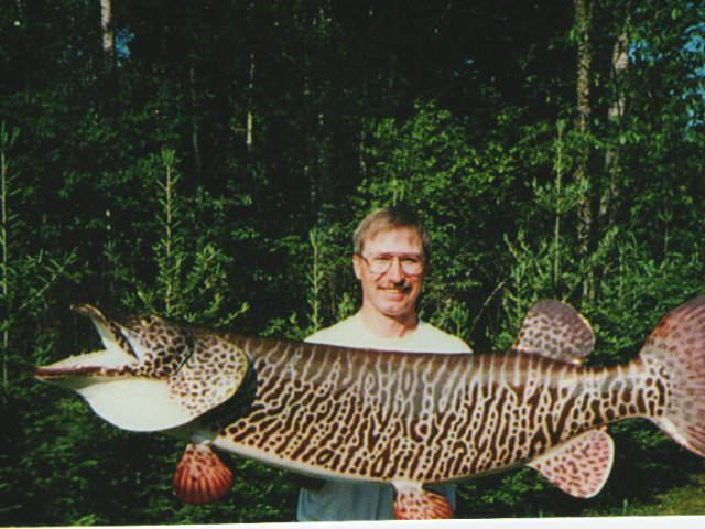 Lurking in Lac La Belle: DNR nets and releases monster muskie