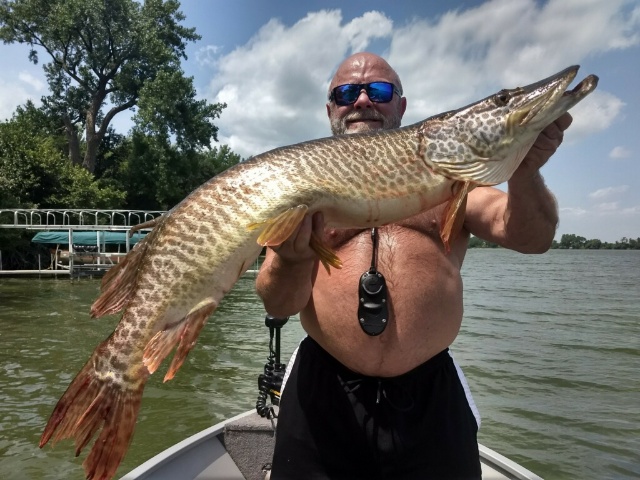 Muskie - Collins River Fly Fishing Tactics