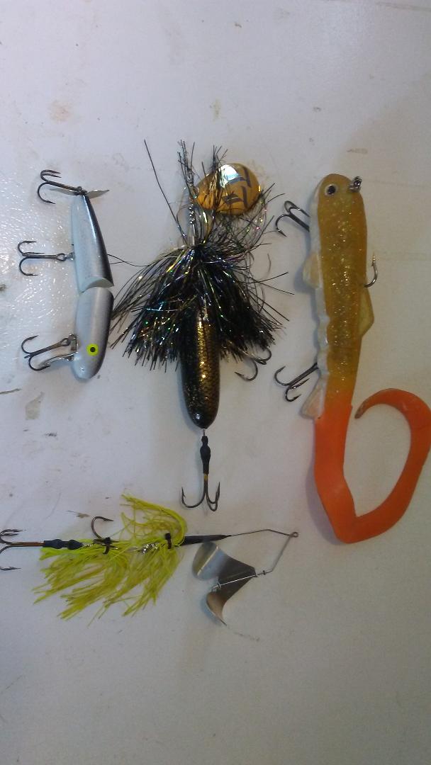 MuskieFIRST  2 bait lots including a boiler maker » Buy , Sell, and Trade  » Muskie Fishing