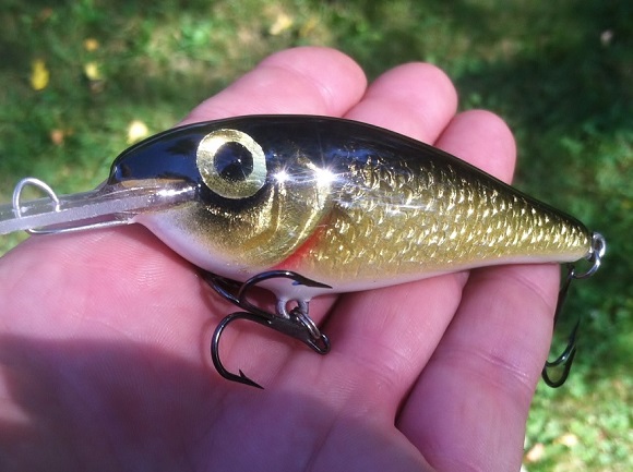 first foil crankbait I am happy with - Hard Baits