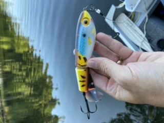 Shallow Raider 7 in Bait Fish Jointed Crankbait by Joe Bucher at Fleet Farm