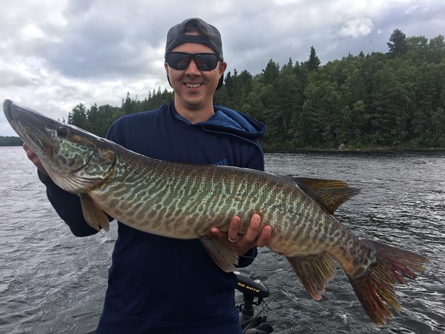 MuskieFIRST  What's a trophy tiger muskie? » General Discussion » Muskie  Fishing