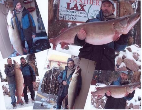 MuskieFIRST  Tom Gelb Passes » General Discussion » Muskie Fishing