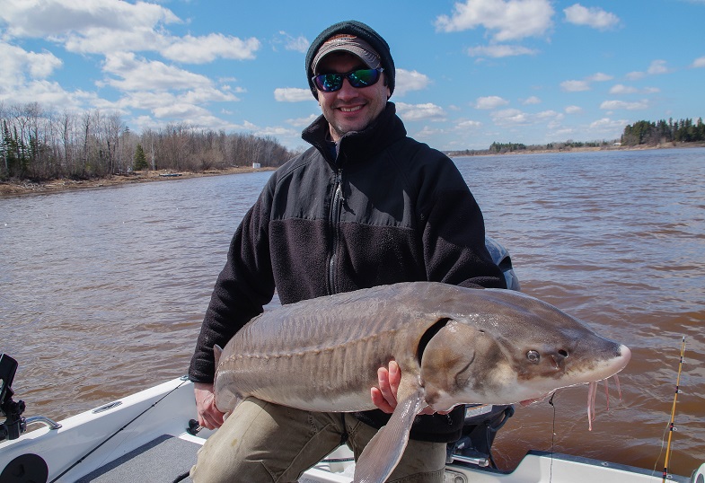 MuskieFIRST  When to throw Topwater » General Discussion » Muskie Fishing