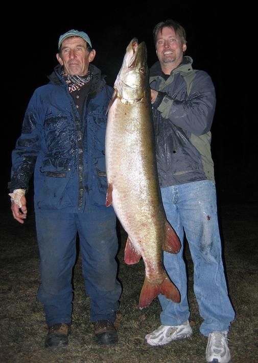 MuskieFIRST  50 pounder - wisconsin » Muskie Biology » More