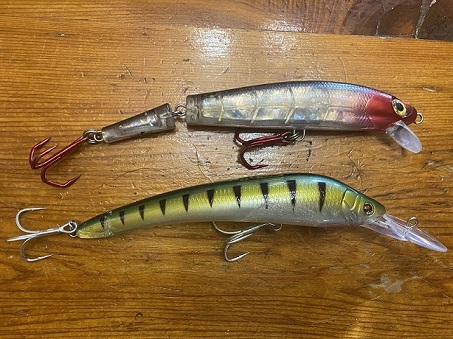 MuskieFIRST  WTB Storm Giant Thunderstick 20 & Sebile Koolie