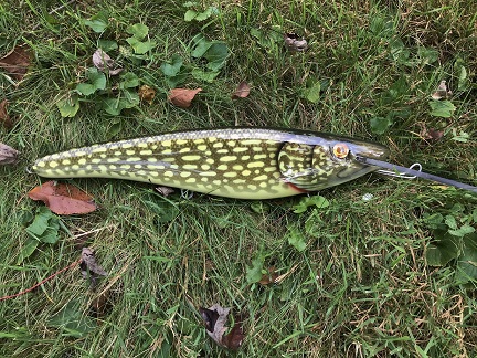 14 Tubby Tube Musky Lure Muskie Northern Pike Largemouth Bass