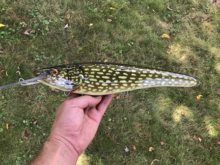 Pike/Musky baits  Manitoba Fishing Forum