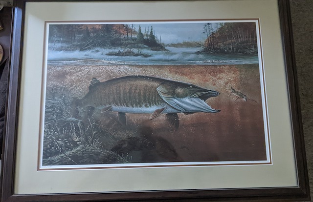 MuskieFIRST  Artist? Who can draw a Musky? » General Discussion » Muskie  Fishing