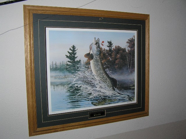 Out Of The Net Walleye Art by Terry Doughty at