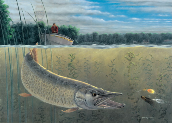 Fishing Musky Esox Framed Art Print for Sale by TigerSoulDesign