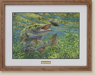 Art Lander's Outdoors: A 'big-time brawler,' the Muskellunge is Kentucky's  top predator fish - NKyTribune