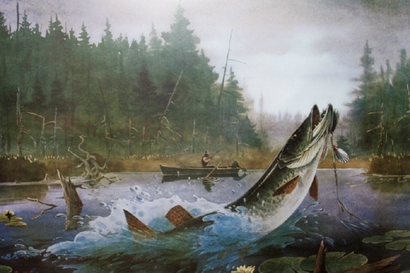 Muskie Fishing Lures Vintage Print Art Canvas Poster for Living